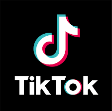 TikTok الصحفية حسناء رفعت يصل 110 ألف متابع خلال شهرين في تغطية ميدانية لـ تيك توك