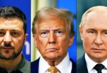 بوتين و ترامب و زيلينيسكي