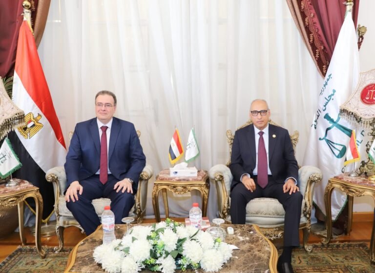رئيس مجلس الدولة يستقبل رئيس الجهاز المركزي للتنظيم والإدارة لتقديم التهنئة لسيادته